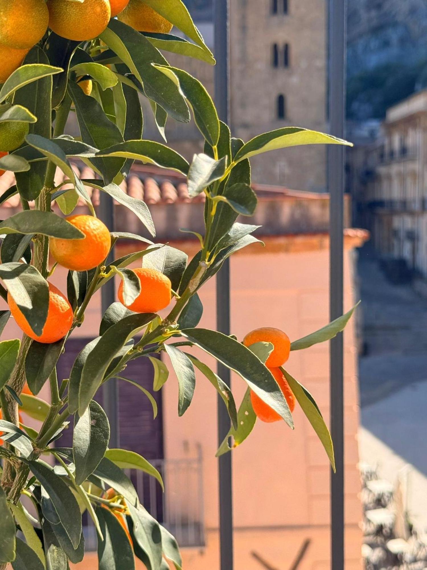 Kefa Holiday - Palazzo Villelmi Cefalù Kültér fotó
